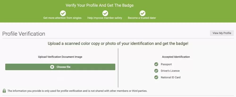vietnamcupid review